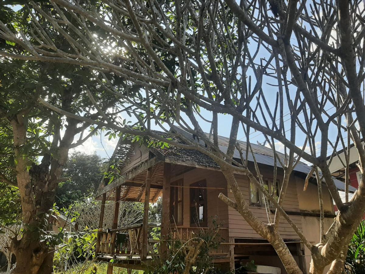 Pai River Jam Hostel & Campground Пай Экстерьер фото