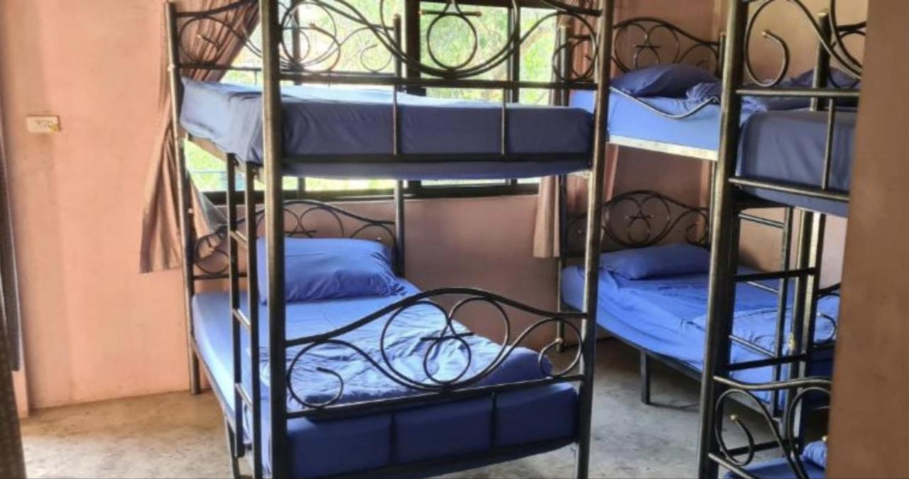 Pai River Jam Hostel & Campground Пай Экстерьер фото